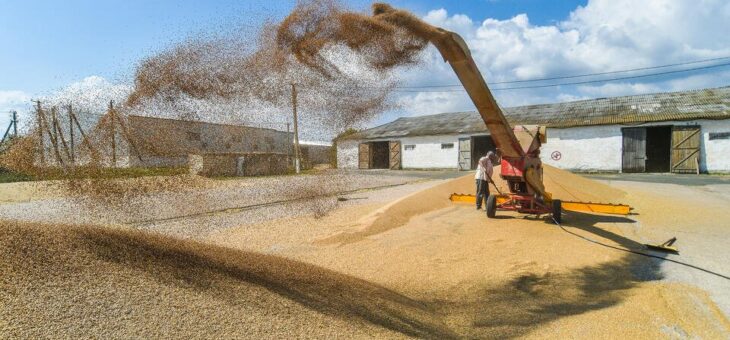 Беларусь 24 сентября ввела запрет на вывоз зерновых на 6 месяцев