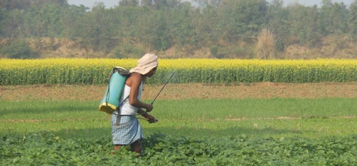 Индия готовит к запрету первые три пестицида из черного списка