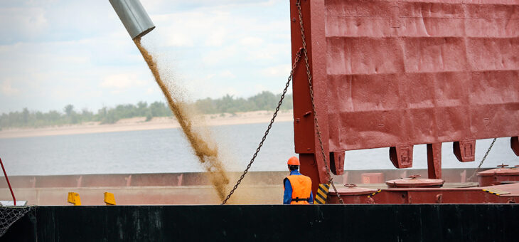 Россия получила возможность существенно нарастить экспорт пшеницы во Вьетнам