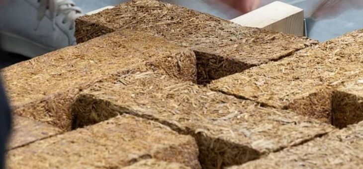 Инновационный сахарный бетон будет производиться в Индии